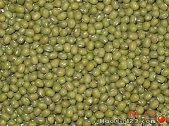 宣化鹦哥绿豆