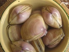 长乐漳港海蚌