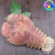 野生皮皮虾
