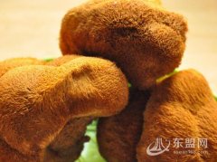 通化-猴头蘑