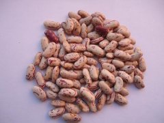 依安芸豆