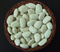 海棠大白芸豆