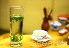 洪雅绿茶