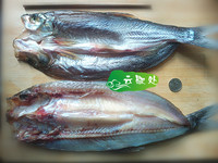 松滋洈水鱼