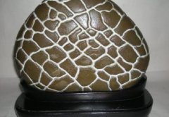 龟纹彩石