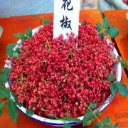 宜川大红袍花椒