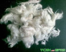 藏西羊毛