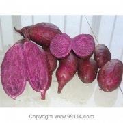 全紫紫薯