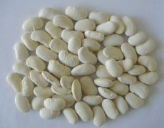 白腰豆