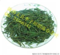 陇南绿茶