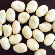 银色珍珠白豌豆