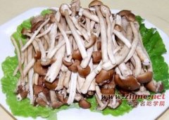 中华神菇-- 茶树菇
