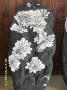 天然菊花石