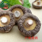 赵湾香菇