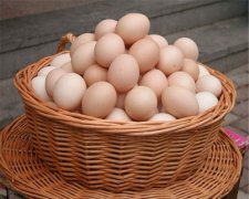 藏鸡蛋